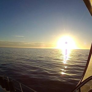 Meet your Posher, Ed